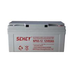 SEHEY蓄电池NP65-12